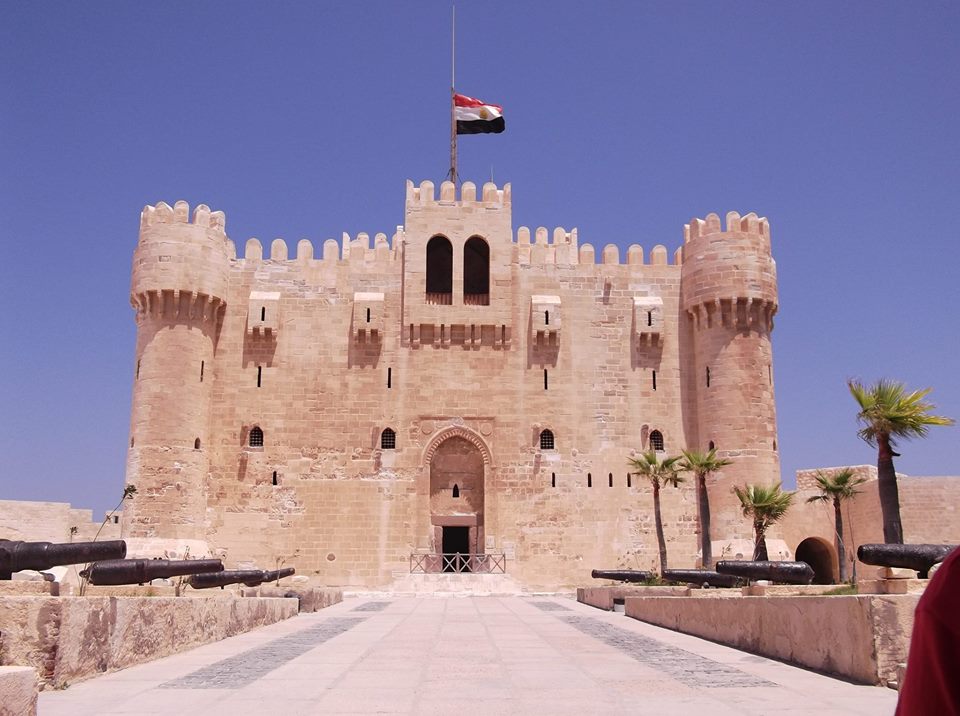 Full day tour to Alexandria Sites from port